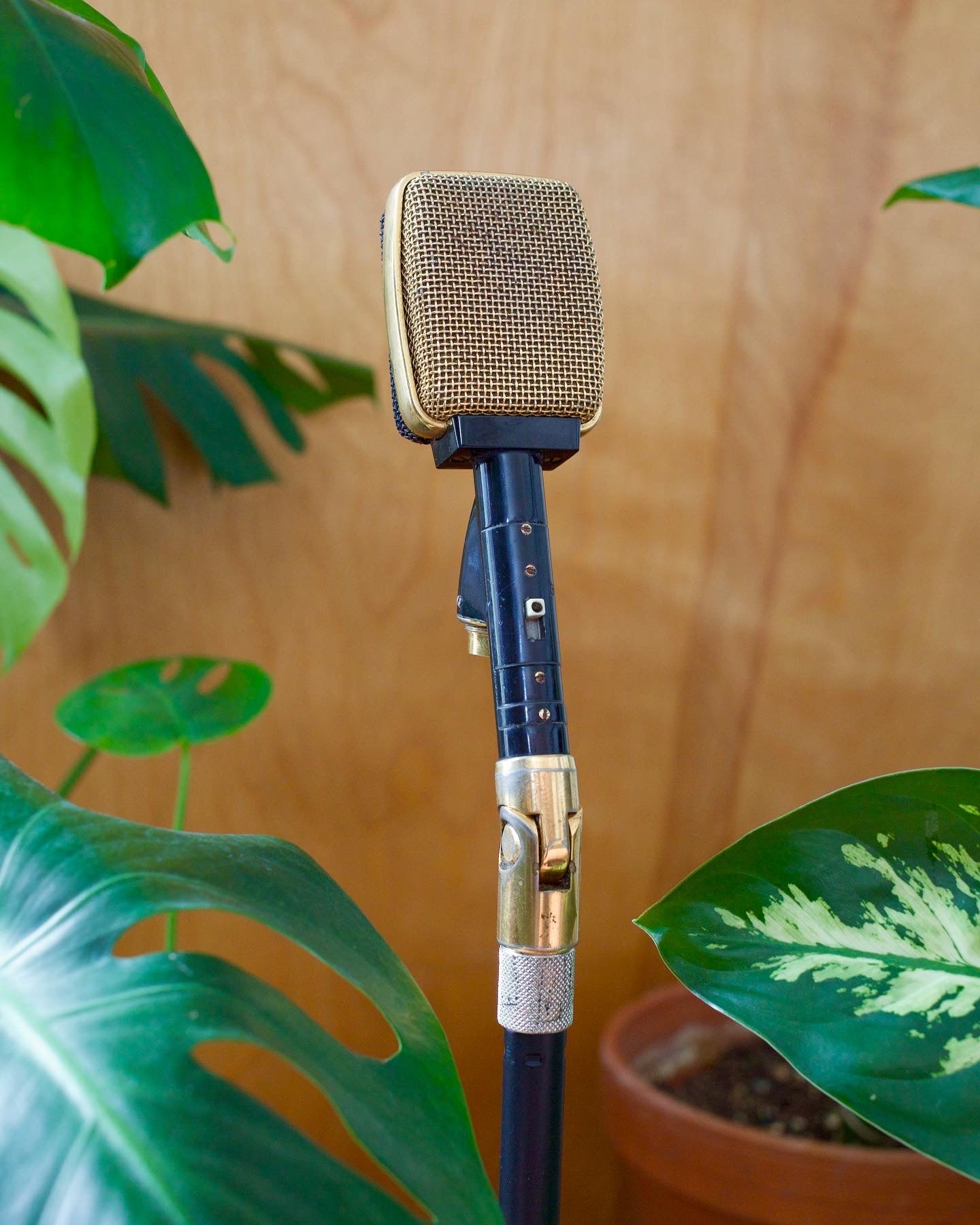 Sennheiser MD409N Dynamic Microphone – Cole Picks Vintage