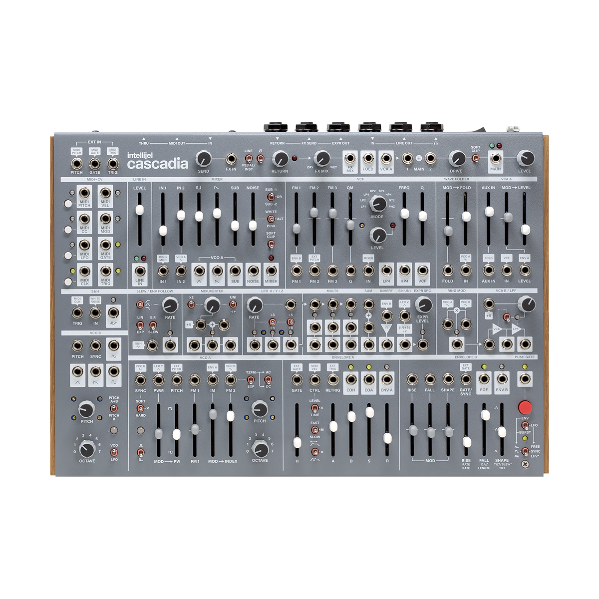 Intellijel Designs Cascadia— Clockface Modular