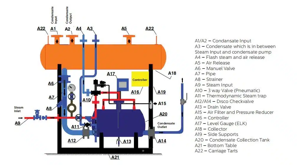 Understanding Pump Cavitation: Prevention, Causes, and the