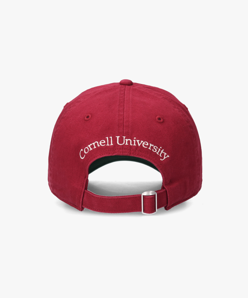 Cornell TWILL WASHED CAP | 57cm～59cm(98) GRAY (03) | College
