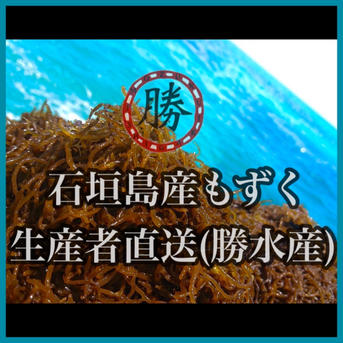 石垣島産もずく【味付け250g×5】サイズ:小/クール便送料込み | 魚介類