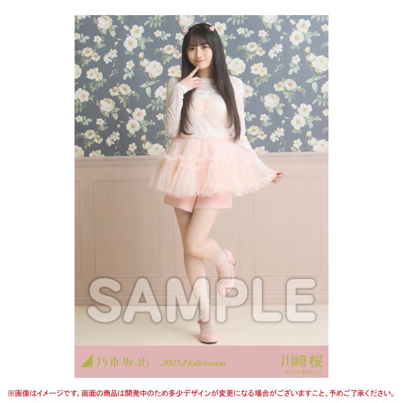 乃木坂46 OFFICIAL WEB SHOP | 乃木坂46 グッズ通販サイト