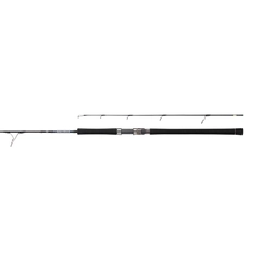 DAIWA 21ソルティガ SJ AGS TG 55B-3の最安値・インプレ・釣果 | 本音