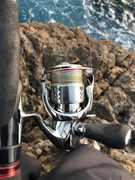 SHIMANO 18ステラ C3000SDHHGの最安値・インプレ・釣果 | 本音の口コミ