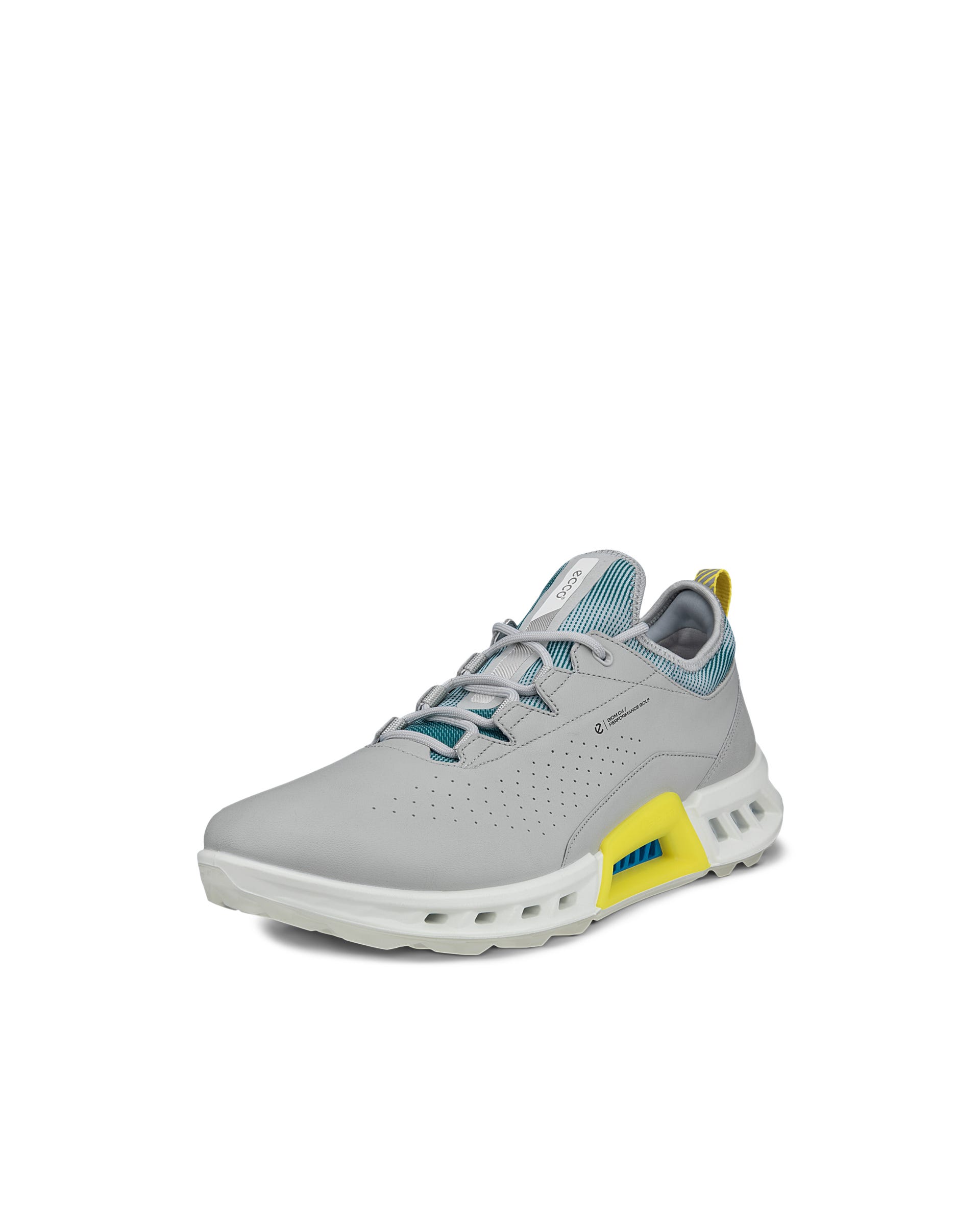 ECCO Golf BIOM C4 Men メンズ レザーGore-Texゴルフシューズ | グレー