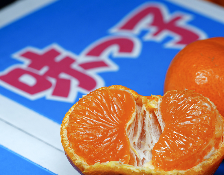 糖度13度以上「味っ子みかん」長崎県産 マル秀〜秀 S〜L 約2.5kg 化粧