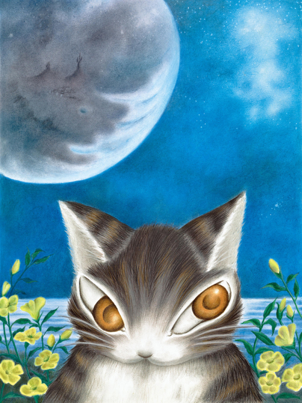 わちふぃーるど 『猫のダヤンフェア』 | レディスファッション・婦人