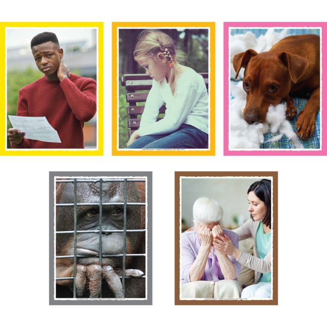 Empathy Discussion Card Set