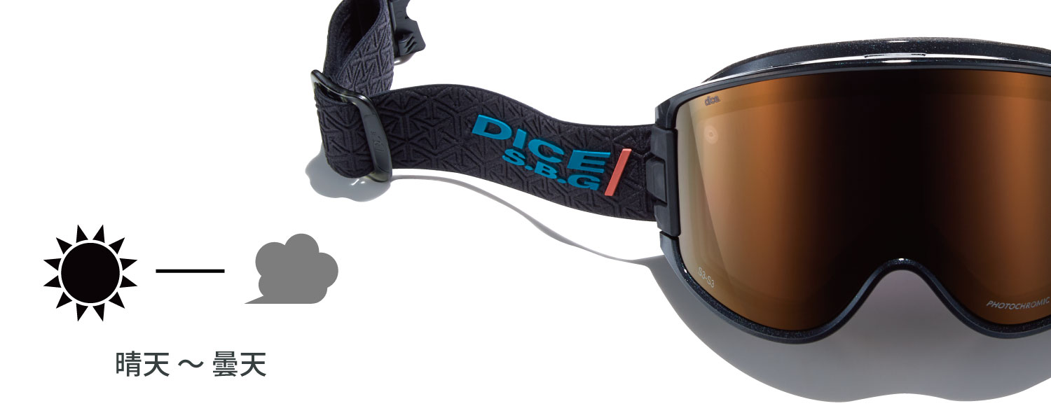 DICE snowboarding goggles | ダイススノーボーディングゴーグル