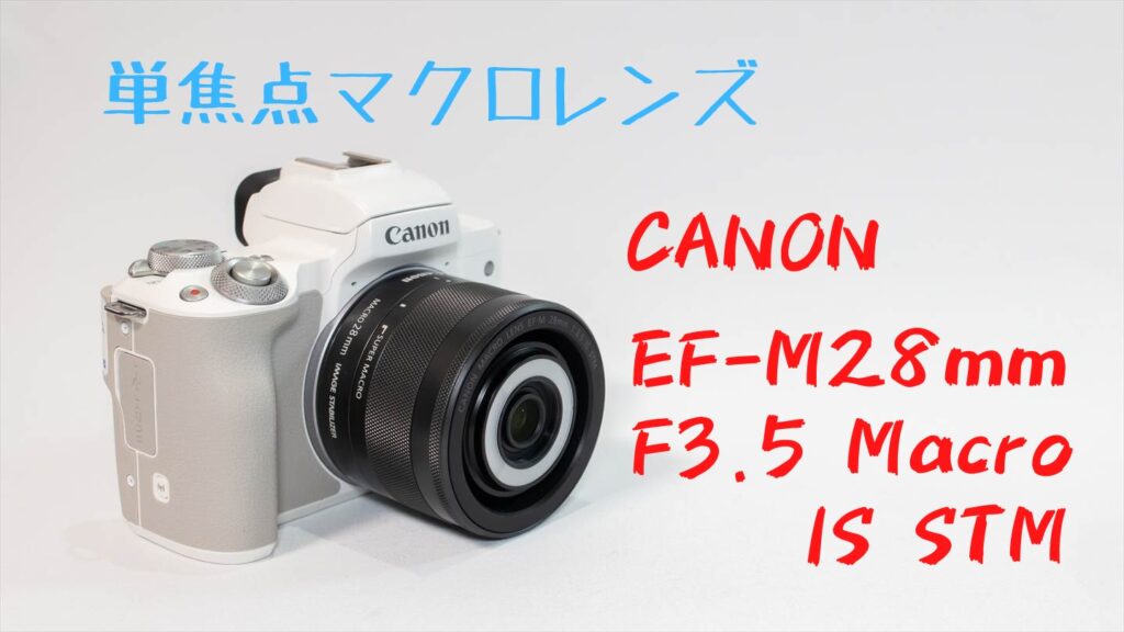 CANON EOS Kiss M2/Mのおすすめレンズ4選【初心者向け】 | digi-cam.net