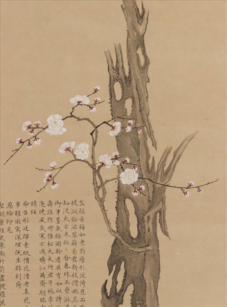 清鄒一桂畫古榦梅花軸- 故宮