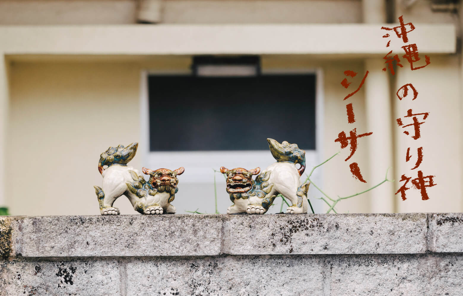 沖縄の守り神シーサー | 萬寿のしずく公式ネットショップ