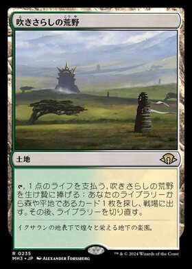 MTG 吹きさらしの荒野 Foil フォイル 英語版 MTG 《吹きさらしの荒野