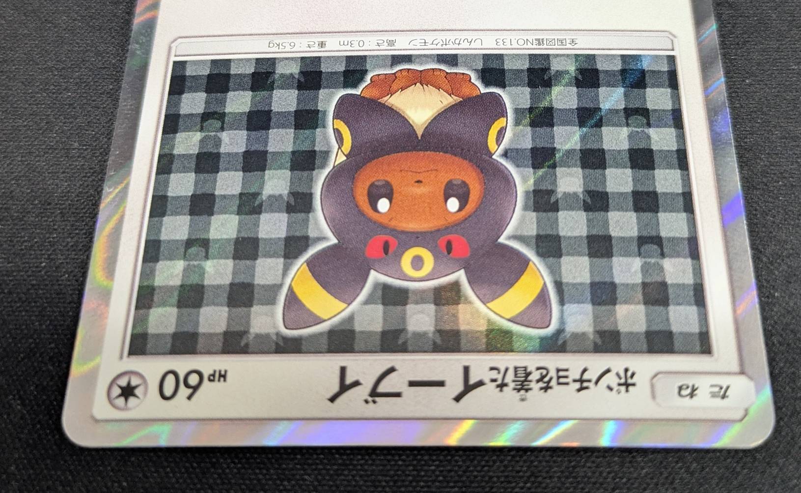 ポンチョを着たイーブイ スリーブ ブラッキー 進化形のポケモンたちの