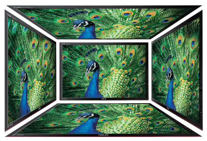 Designo MX279H｜モニター｜ASUS 日本