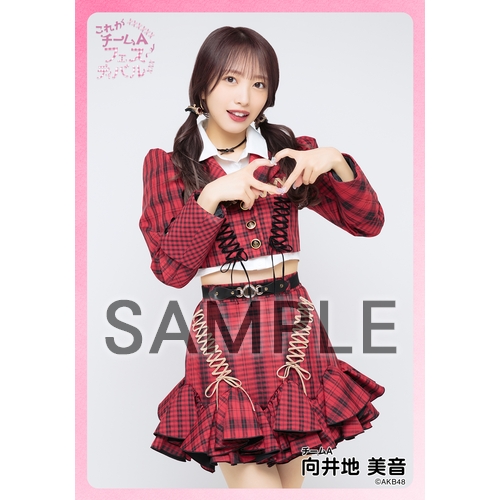 予約商品】AKB48 現チームファイナルコンサート2023 個別生写真5枚