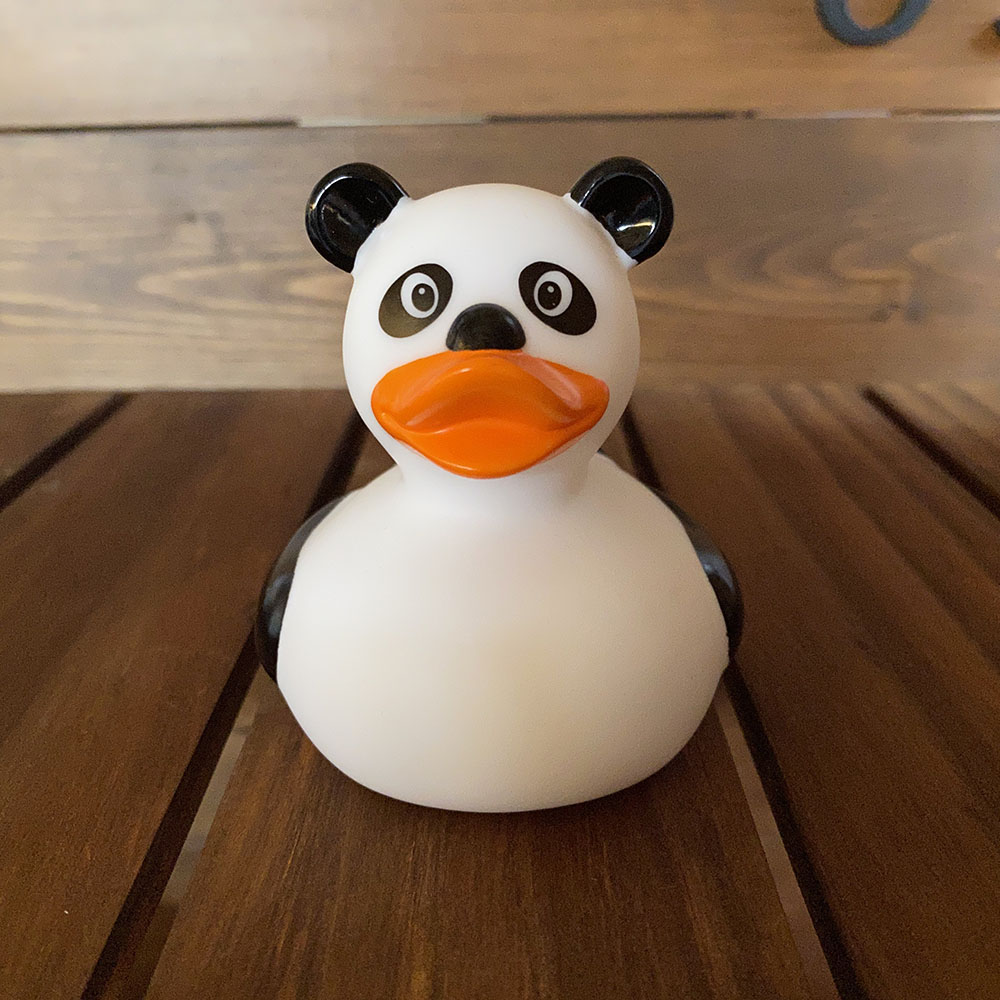 パンダダック Panda duck - Ducks