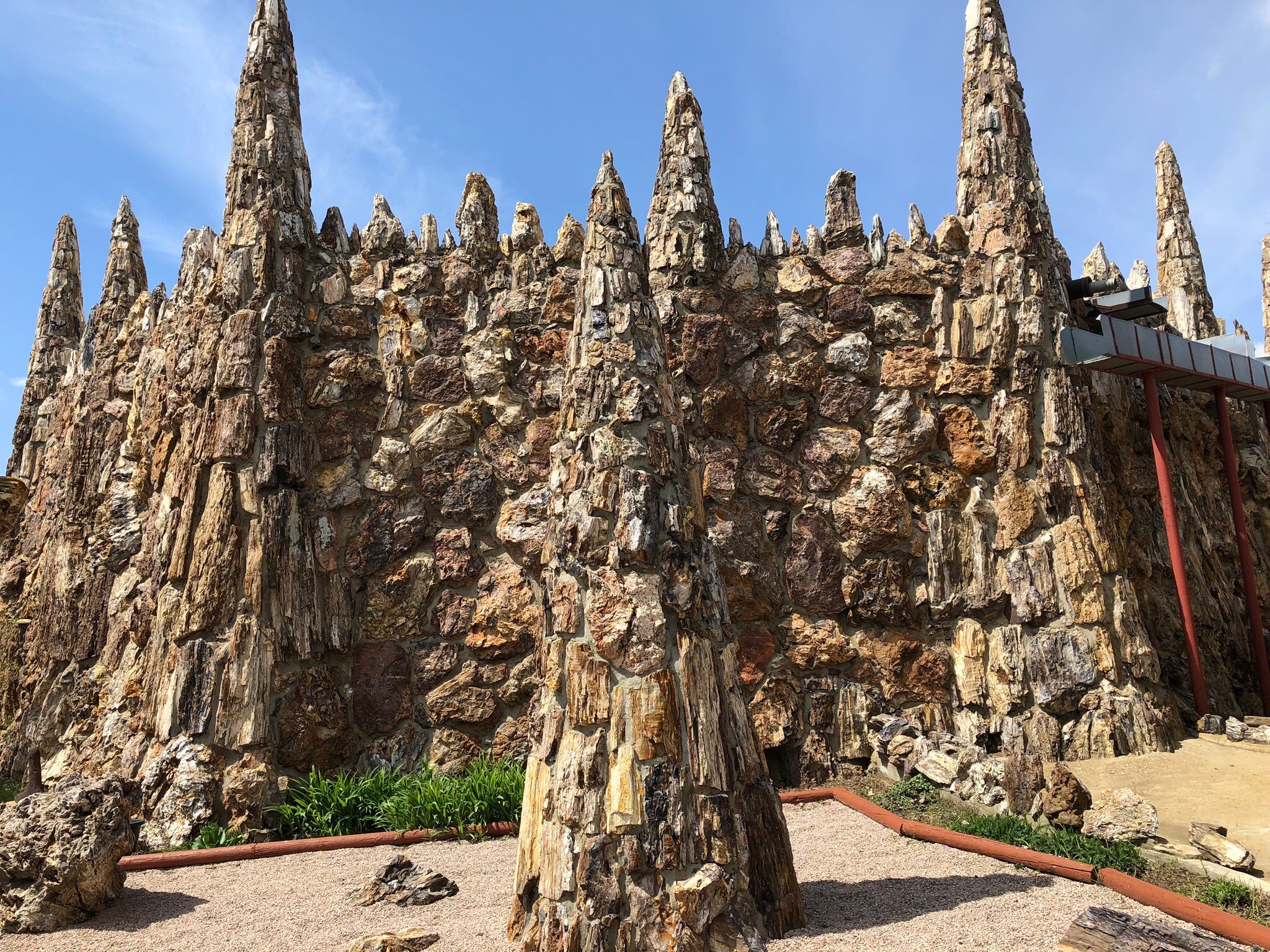 Petrified Wood Park (2026) - All You MUST Know Before You Go (w