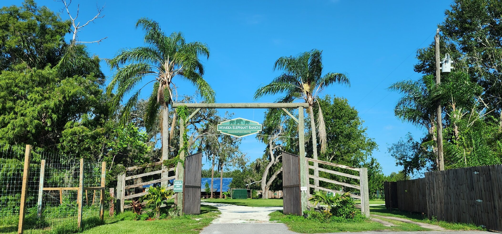 Myakka Elephant Ranch (2026) - All You MUST Know Before You Go (w