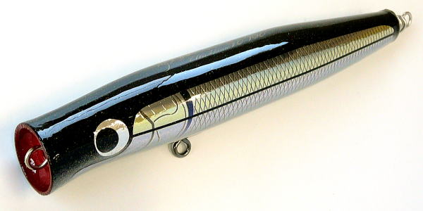 Carpenter(カーペンター) BlueFish(ブルーフィッシュ) 45-150 使用