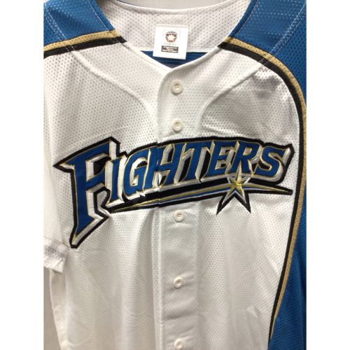 北海道日本ハムファイターズ (ホッカイドウニッポンハムファイターズ