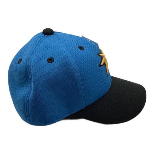 北海道日本ハムファイターズ (ホッカイドウニッポンハムファイターズ