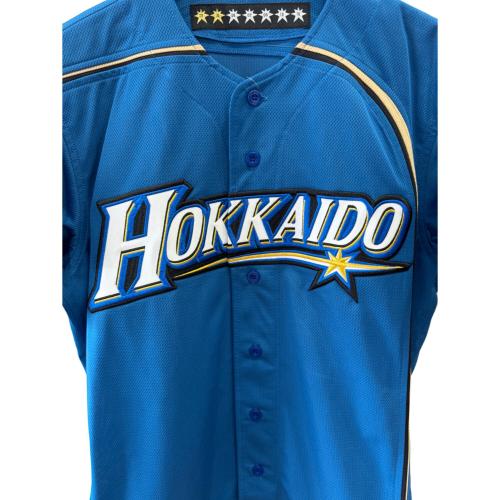 北海道日本ハムファイターズ (ホッカイドウニッポンハムファイターズ