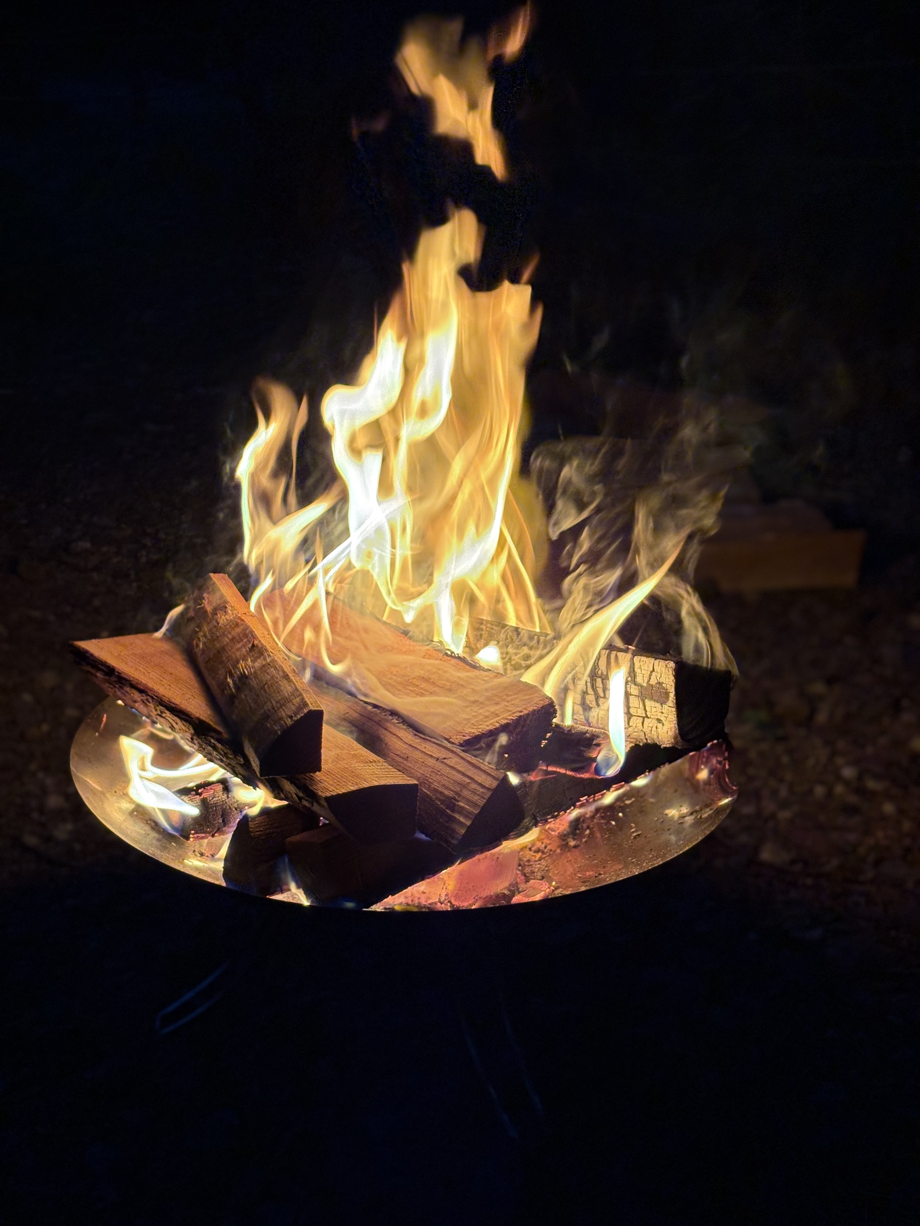 ファイアーディスクの通販｜キャンプ用品のコールマン【公式