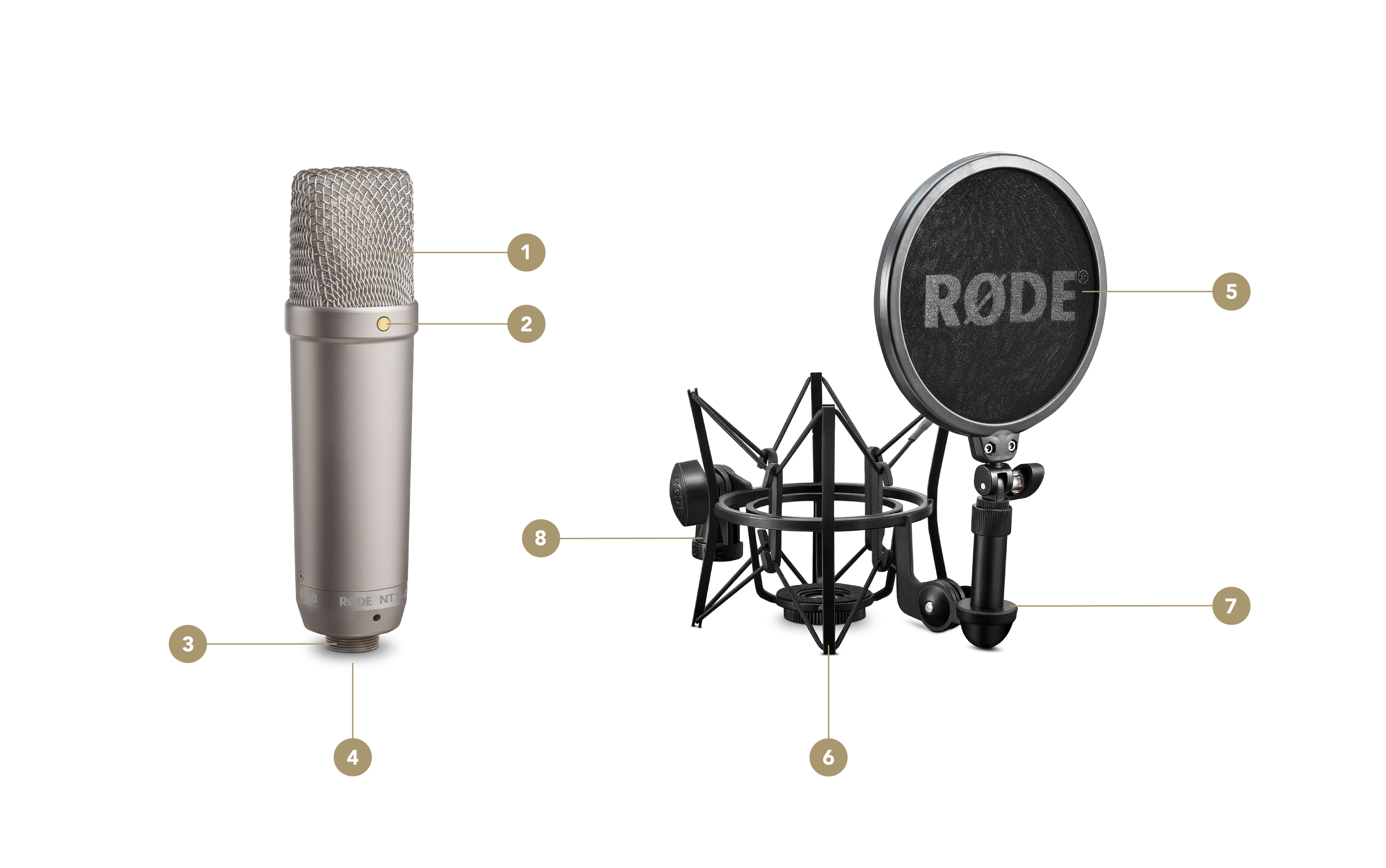 NT1-A | USER GUIDE & SUPPORT | RØDE (JP)