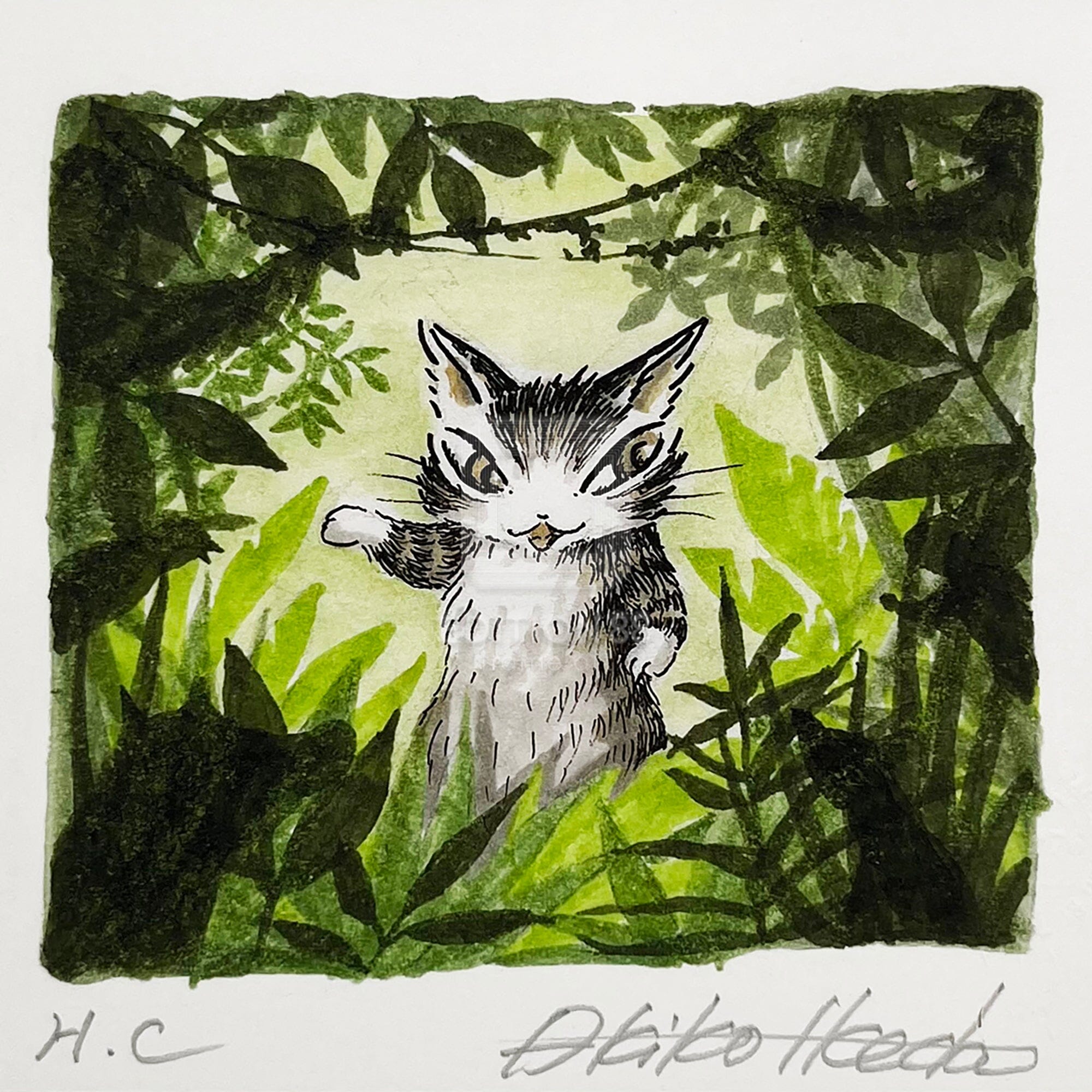 猫のダヤン 88グラフ「ボルネオの森」/池田あきこ（直筆サイン入り