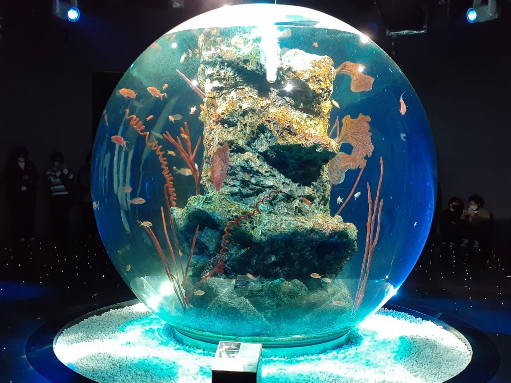 新感覚の都市型水族館「átoa」日本最大級の球体水槽「AQUA TERRA