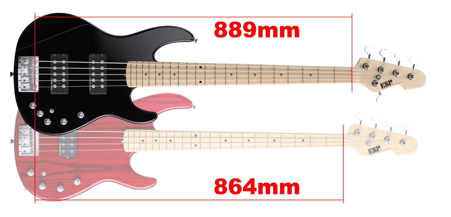 AP-SL5/M | ESP GUITARS