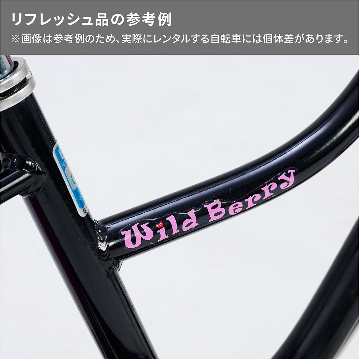 ワイルドベリー – Bridgestone Cycle Ethicle