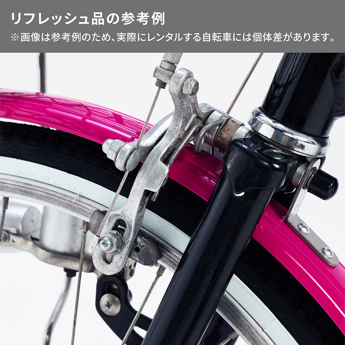 ワイルドベリー – Bridgestone Cycle Ethicle