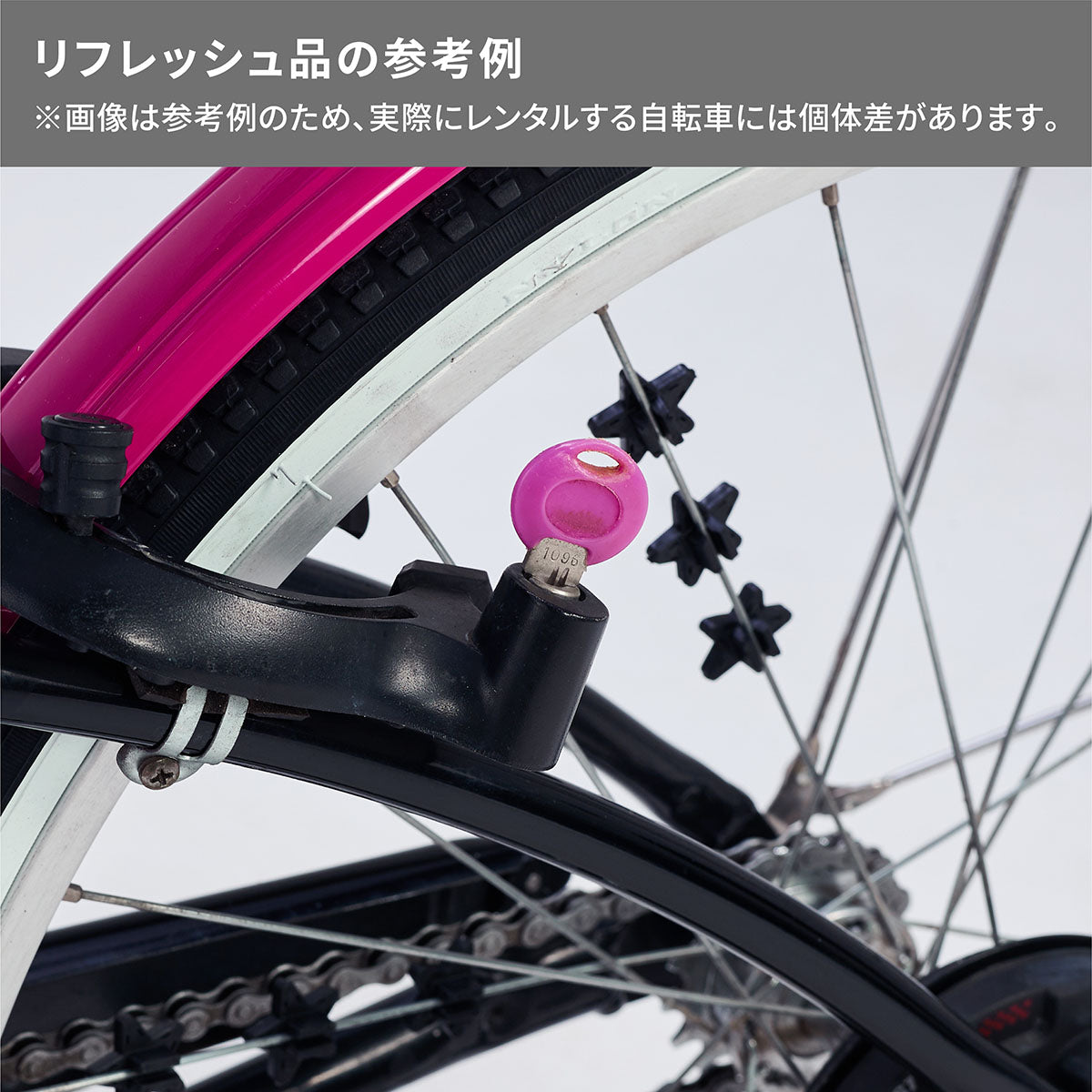 ワイルドベリー – Bridgestone Cycle Ethicle