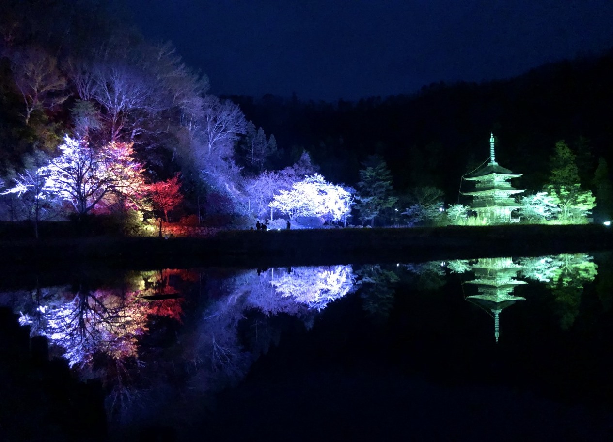 TAKAHATA ILLUMINATION2025～歴史と灯が紡ぐ、秋夜の幻想世界