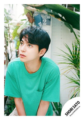 No.TSZ25-528】佐藤勝利1st写真集『A Bird on Tiptoe』オリジナル