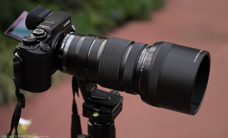 レビュー】2000万画素のLUMIX GX8にオリンパスのPROレンズを装着して