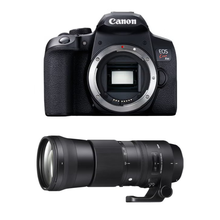 レンタル] CANON EOS Kiss X10とシグマの超望遠ズームレンズ(150-600mm