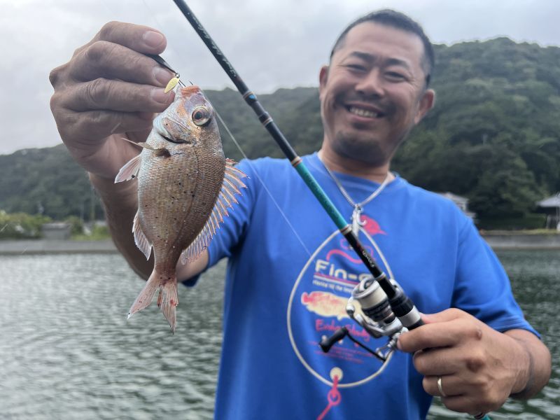 CANARIA AZORES77(カナリア アゾレス77) - Fin‐ch