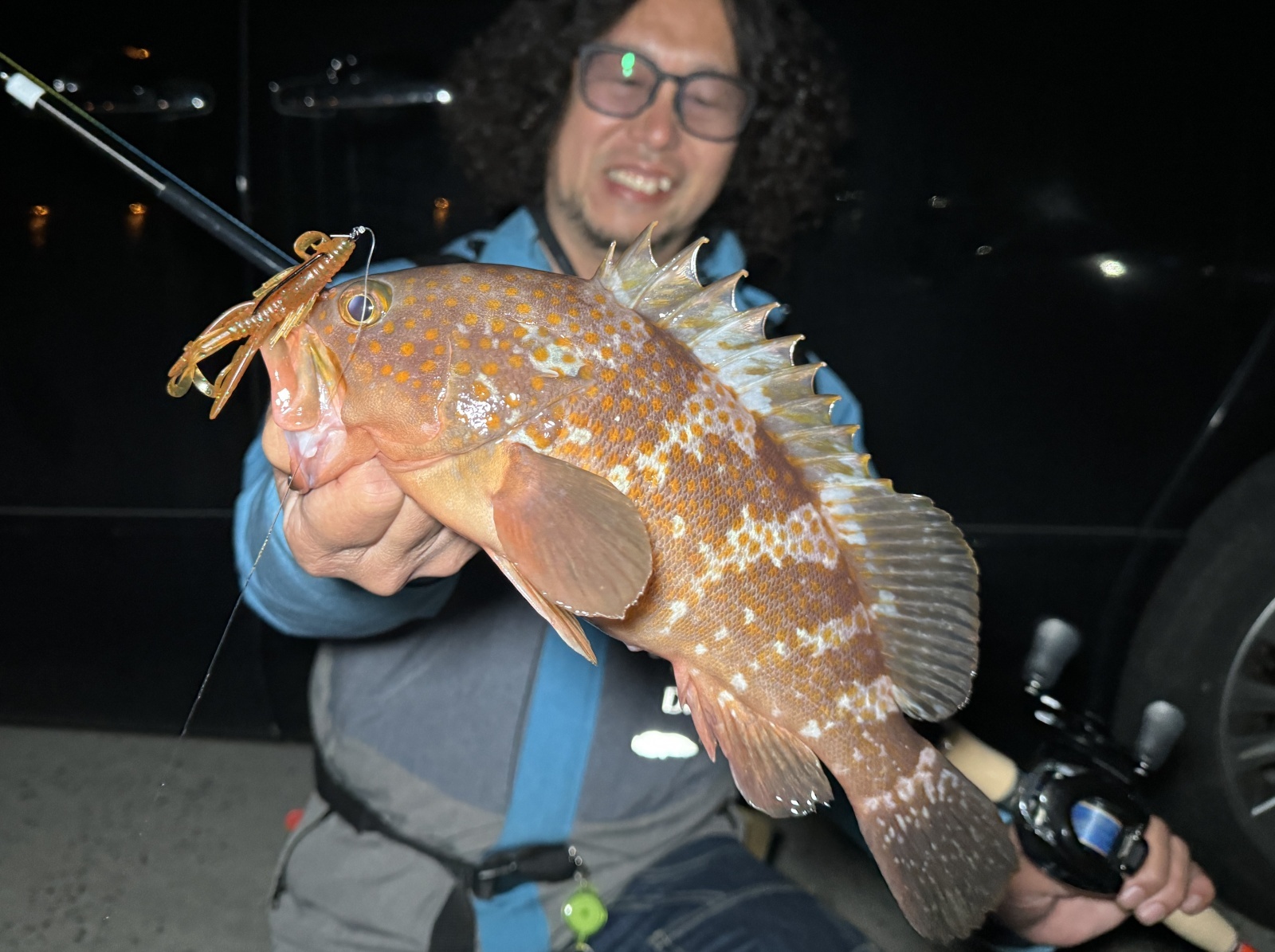 CANARIA COCO85(カナリア ココ85) - Fin‐ch