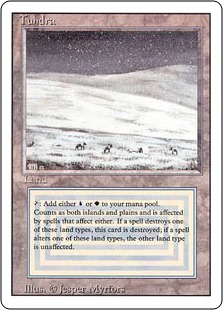買取：《Tundra》[3ED] 土地R | 日本最大級 MTG通販サイト「晴れる屋」