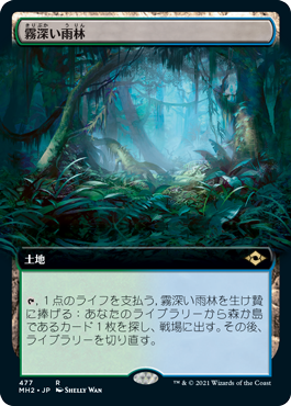 霧深い雨林/Misty Rainforest》[ZEN] 土地R | 日本最大級 MTG通販