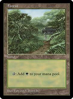 APAC3)《森/Forest》(Illus.Edward P.Beard Jr.)[APACランド] 土地