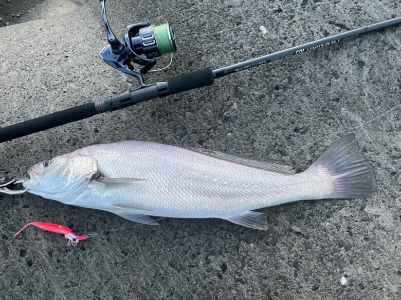 ジャンプライズ ツーリミット105モンスターバトルを徹底インプレ