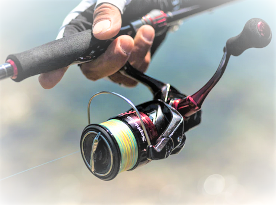 22セフィアBBでエギングを楽しみたい！2022年新登場のスピニングリール