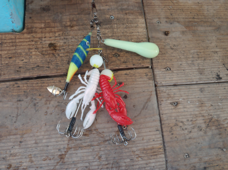 デビルクラッカーの釣り方【タコ釣り】