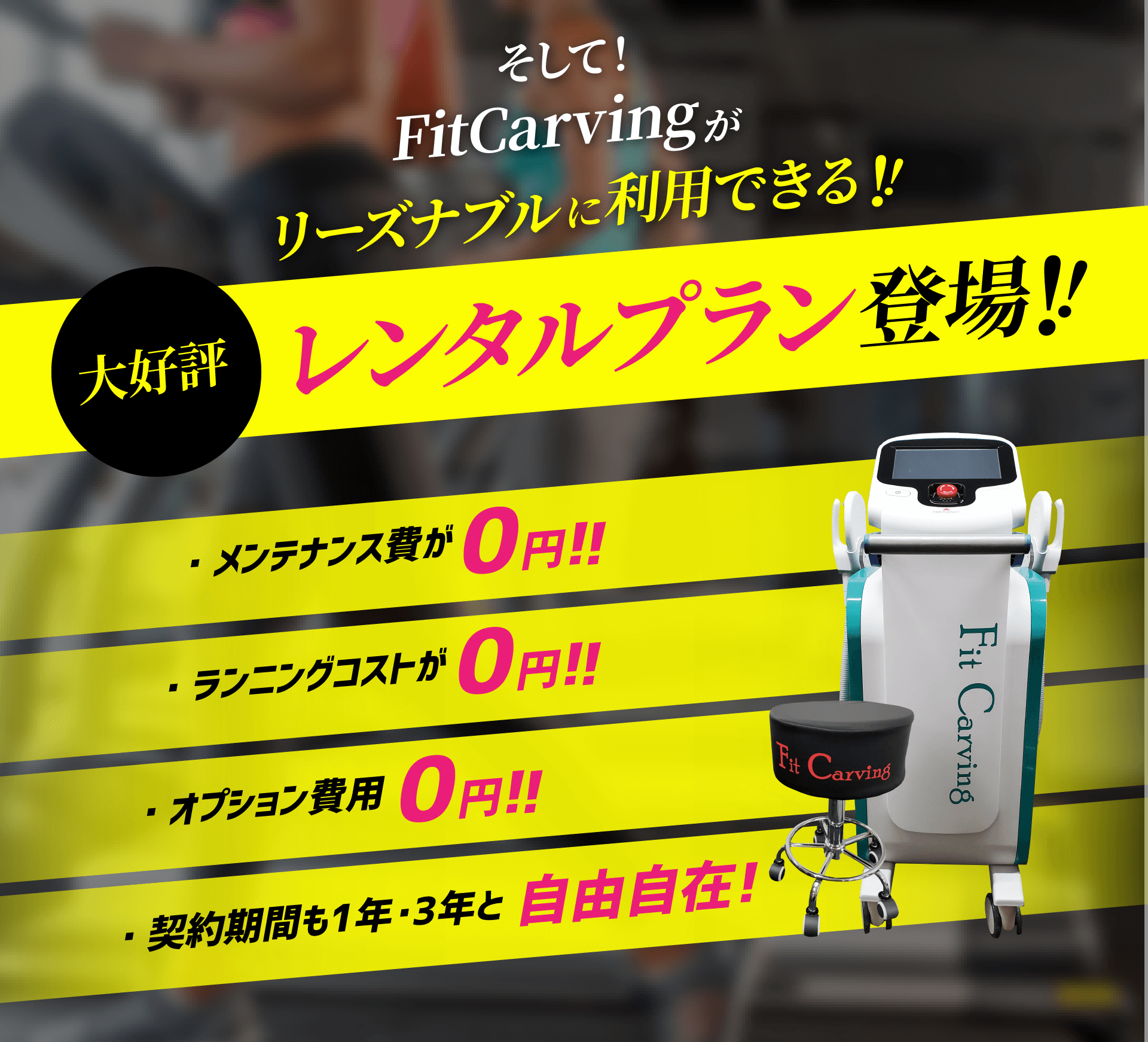 エステ用業務用痩身機器 フィットカービング