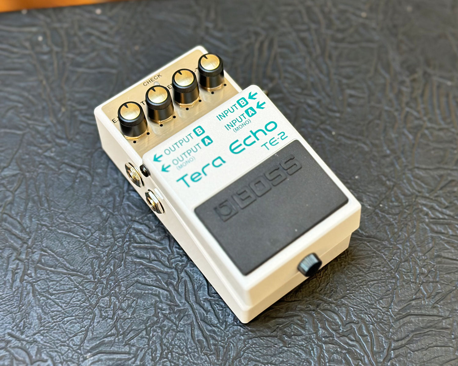BOSS TE-2 Tera Echo – Found Sound