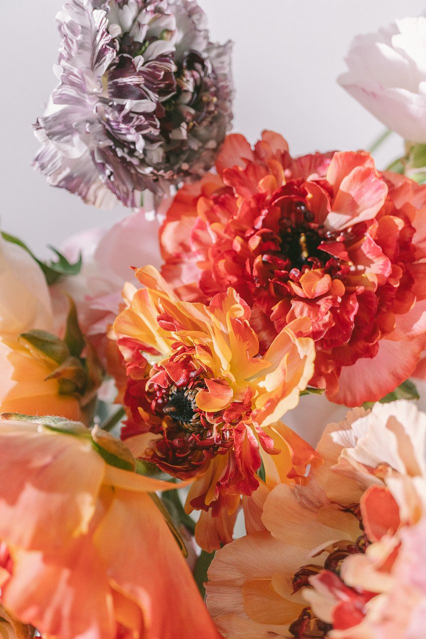 ユリ】人気の花束・ブーケ特集 | FLOWER｜かわいい花束を【送料無料